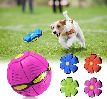 Pelota Platillo Bola Mágica - El Juguete Interactivo Perfecto para tu Perro